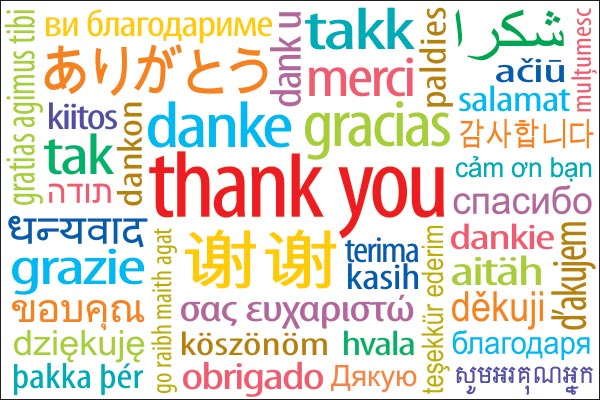 Multilingual Thank You Posters | Thank You Posters