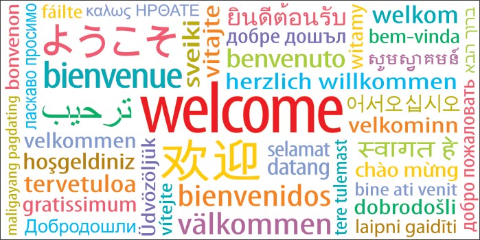 Printable Poster in Multi Languages Thank You Posters
